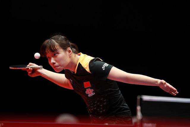 动白嫖宠物 动白嫖宠物